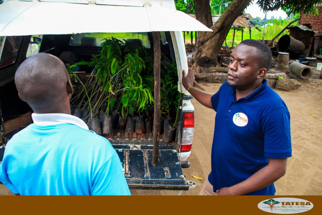 DISTRIBUTION AND TRADING OF SEEDLINGS